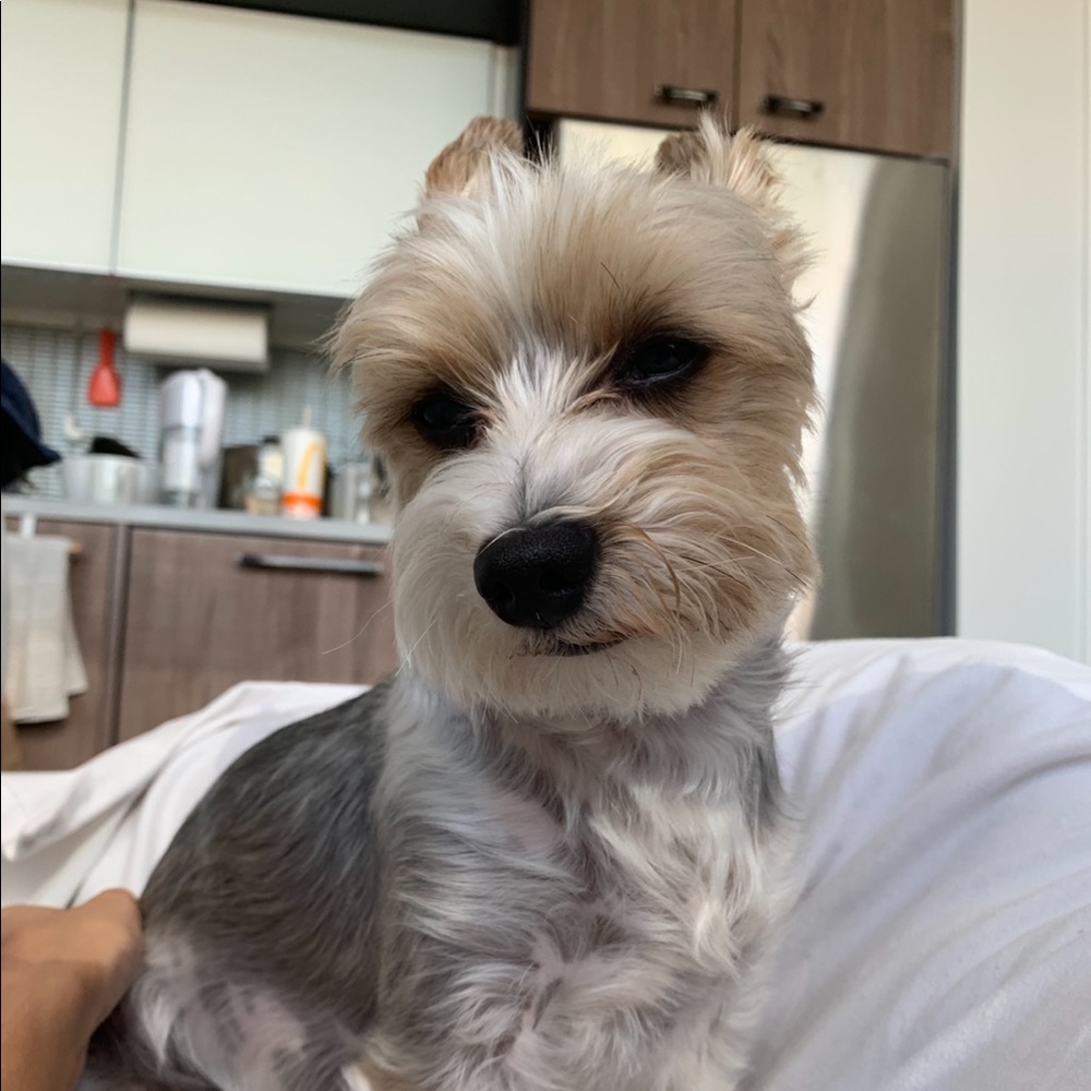 MY LITTLE BABY 🥰 - Picture 2 of 16